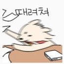 트립스캐너