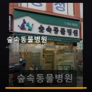 숲속동물병원 | 숲속동물병원 진료 과목 및 이용 안내