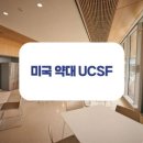 약대로 이미지
