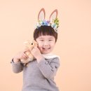 365스튜디오 이미지