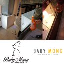 베이비몽 이미지