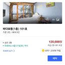 안면도 바닷가 웨이브 민박 | [태안] 연휴주말10만원대 가성비숙소 (방포해수욕장 앞, 해루질, 수영장) - 안면도 바닷가웨이브펜션