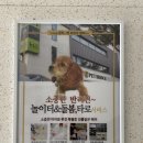 펫브릿지 김해점 이미지