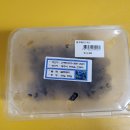 오천농장 이미지