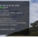 법인대관령순수양떼목장