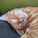 제일종합정비 이미지