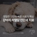 심동물병원 이미지