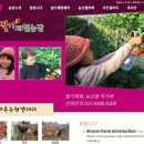 친환경엘-샤론