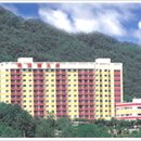 코레스코치악산콘도미니엄 Daum카페