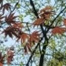 더위드치과의원 이미지