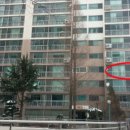 덕진-124 이미지