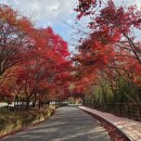 이른비스테이 | 연곡사 템플스테이 휴식형 후기, 환상적인 단풍길과 국보 승탑 보러 가자!