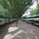 시냇가캠핑장 이미지