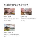 (주)개화 이미지