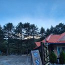 칠연계곡펜션 | [전북 무주] 대전근교 계곡 무주 구천동계곡 취사 가능 평상(내돈내산)