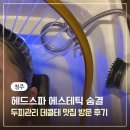 숨결아로마색채테라피 | 청주 헤드스파, 두피관리 에스테틱숨결 데콜테 맛집 방문후기