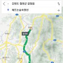 해뜨는 숲속 이미지