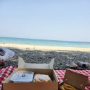 양양 쏠비치 맛집 텍사스바베큐 야식 고바베큐