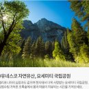 세종여행사 - 서구 상무평화로 89 | 세종여행사