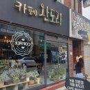 카페완도리