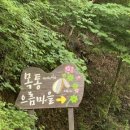 목통마을 입구 이미지