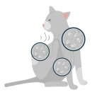 송파동물의료센터 이미지