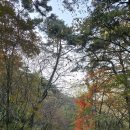 치악산둘레길 11코스 한가터길 | 원주, 치악산둘레길-한가터길11코스