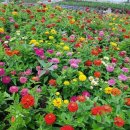 12월22일 이미지