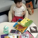 자연이랑 | 아람북스 자연이랑 후기) 13개월~22개월 현재까지