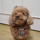 (주)우리덴탈 이미지