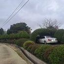 한실농박 이미지