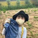 한들물빛 꿈나무 태권도 | 탕정 아산 태권도 교육, 인성과 체력을 동시에 발전시키는 꿈나무태권도