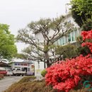 궁류면사무소 이미지