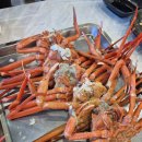 중앙파출소 | 주문진맛집 홍게 무한리필 되는곳 내돈내산 솔직후기