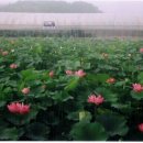 영산농장 이미지