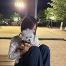 토비네 살롱 이미지