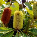 기분이 좋아 이미지