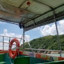 돌고래카 이미지