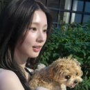 더. 예쁘다