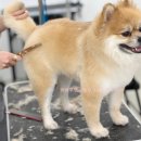 수원-0591 이미지