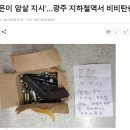 김정은의 암살 지령과 총기 발견 신고에 출동해보니 장난감 총? 이미지