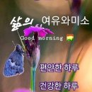 내 마음의 황금기둥 이미지