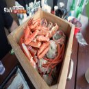 대게펜션민박