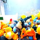 개이득뽑기방 이미지