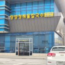 망양정 해물칼국수 | 울진 죽변 맛집 푸짐한 망양정 해물칼국수 내돈내산 후기