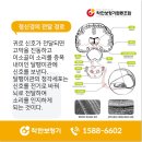 착한보청기