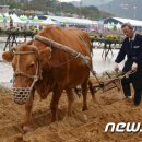 횡성한우농장 이미지