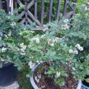 재삼농장 이미지