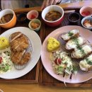 동쓰푸드 이미지