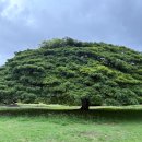 아메리칸양념통닭 | [미국 하와이] #3 *쿠알로아랜치 오프로드 투어🦖 | 렌트·스누피샵·마루카메우동